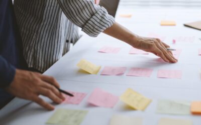 What a Training Roadmap Actually Reveals